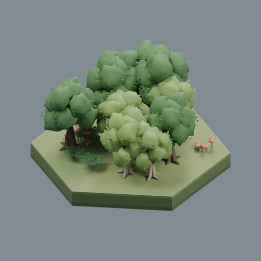 Decidious Forest biome