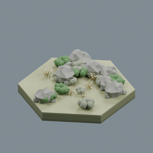 Shrubland biome
