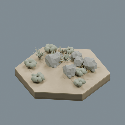Temperate Desert biome